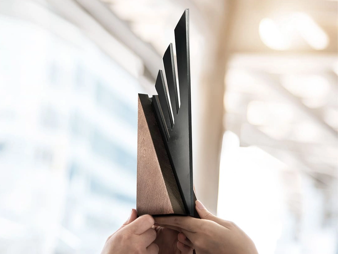 Vítěz ocenění Orlové E-Commerce